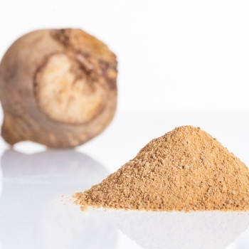 Maca Root Boost Brain Power